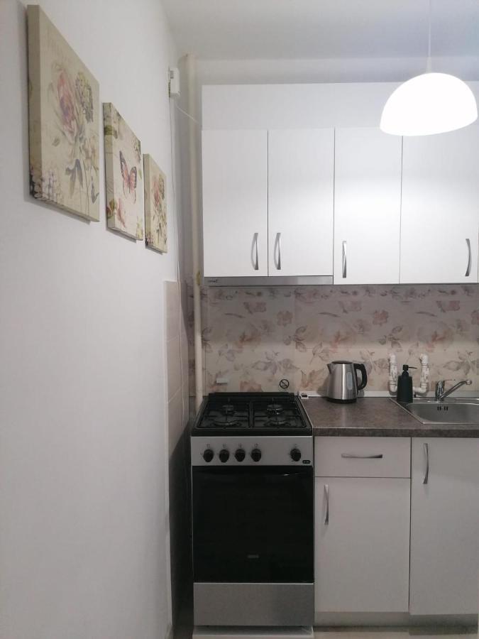 Laroka House Cosy And Modern Apartment Universitate-City Centre Bukares Bagian luar foto